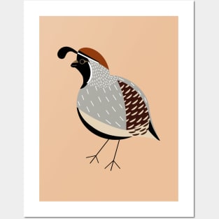 Quail Posters and Art